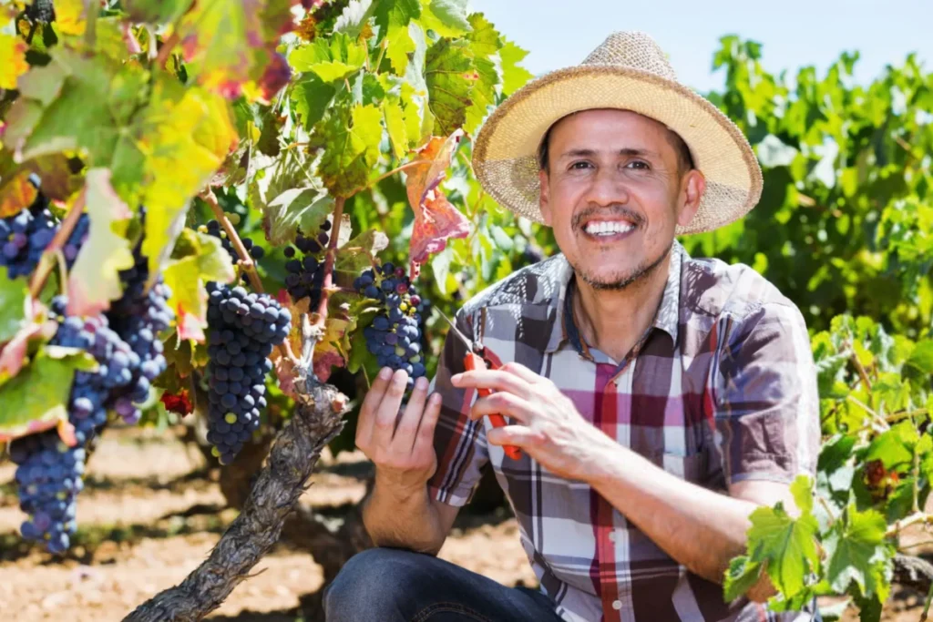 H2A Visas for Agricultural Workers and Farm Labor