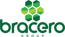 Bracero Group