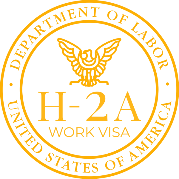 H2A Program for Agricultural Farm Workers Visa