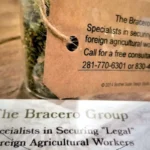 Texas Wine Grape Growers Camp 2019