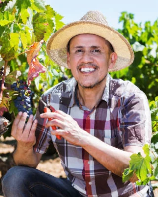 Work Visa H2A Program