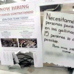 Workers Undocumented Laborers