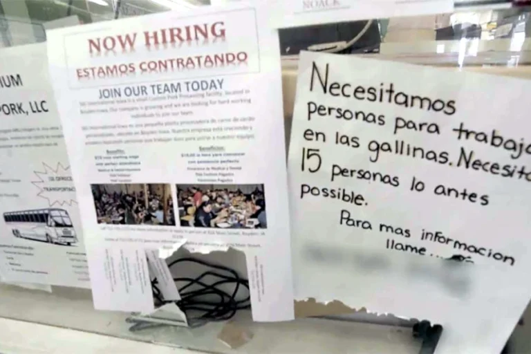 Workers Undocumented Laborers