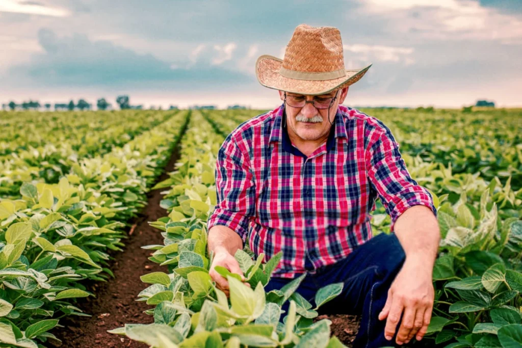 Bracero Group News